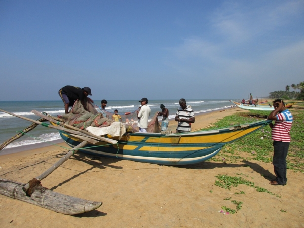 Zdjęcie ze Sri Lanki - Kalutera