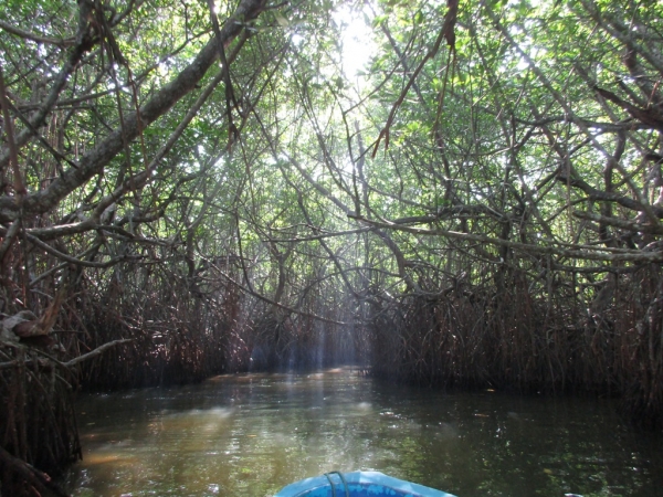 Zdjęcie ze Sri Lanki - Madu River