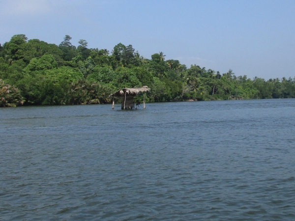 Zdjęcie ze Sri Lanki - Madu River