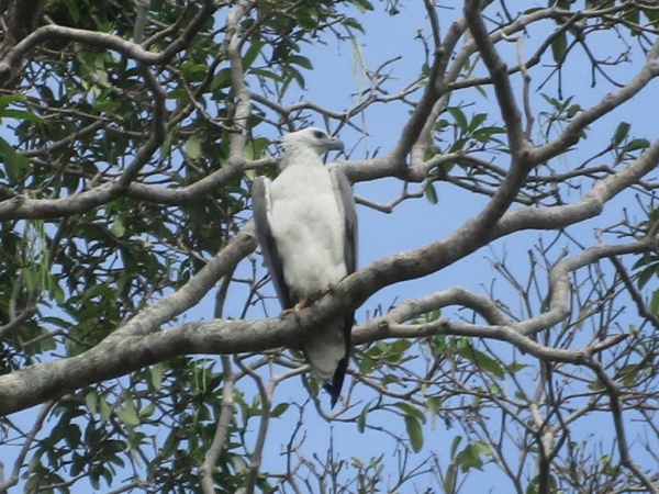 Zdjęcie ze Sri Lanki - Madu River