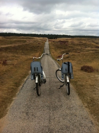 Zdjecie - Holandia - Park De Hoge Veluwe/ Leeuwarden/Heerenveen