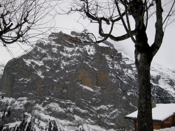 Zdjęcie ze Szwajcarii - Murren