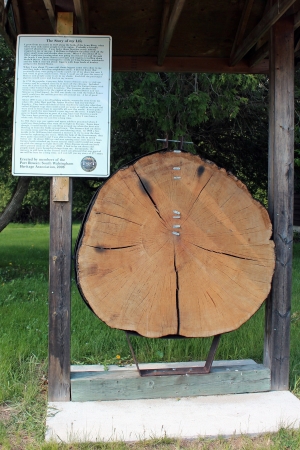 Zdjęcie z Kanady - Pierwsza w Kanadzie stacji leśnictwa koło Port Dover, Ontario