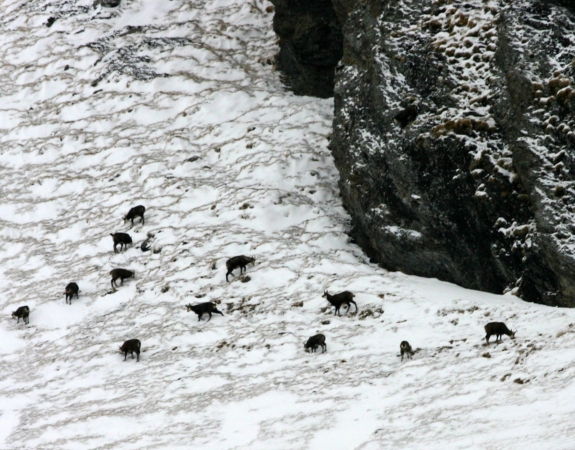 Zdjęcie ze Szwajcarii - rejon Schilthorn-Brig