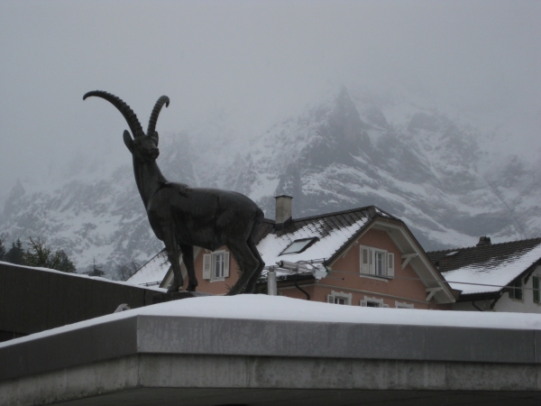 Zdjęcie ze Szwajcarii - Grindelwald