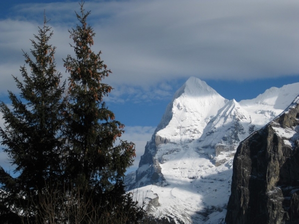 Zdjęcie ze Szwajcarii - Murren