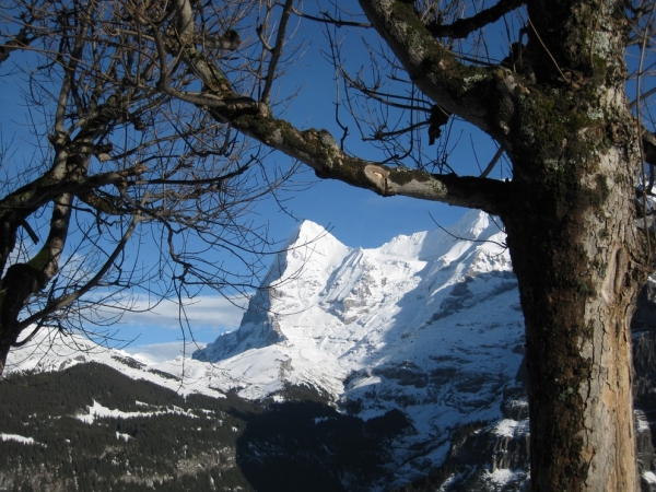 Zdjęcie ze Szwajcarii - Murren