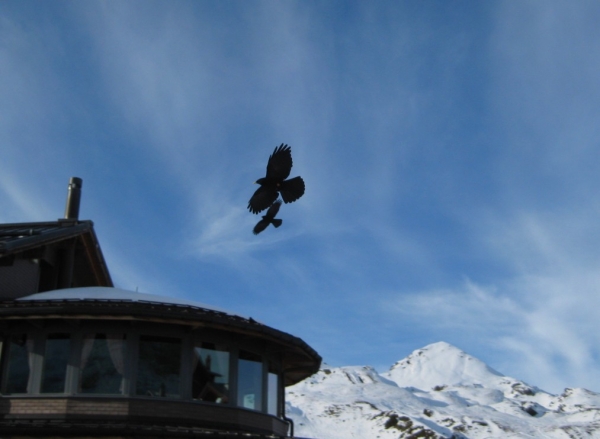 Zdjęcie ze Szwajcarii - Kleine Scheidegg