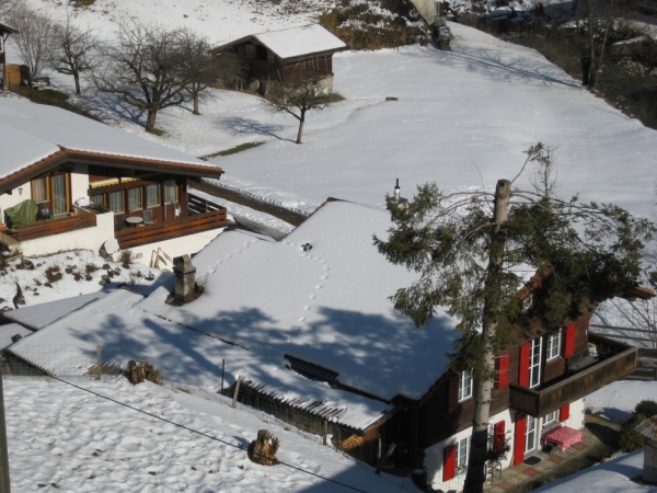 Zdjęcie ze Szwajcarii - Lauterbrunnen