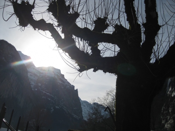 Zdjęcie ze Szwajcarii - Lauterbrunnen