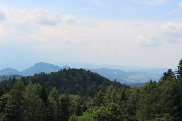 Zdjęcie z Polski - Widok na Pieniny, ponad Koszarkami