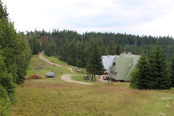 Zdjecie - Polska - Beskid Sądecki - W końcu Przehyba!