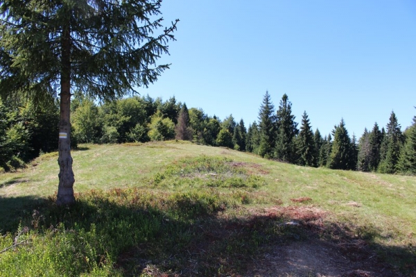 Zdjęcie z Polski - Jaworzyny Ochotnickie 1050 m n.p.m.