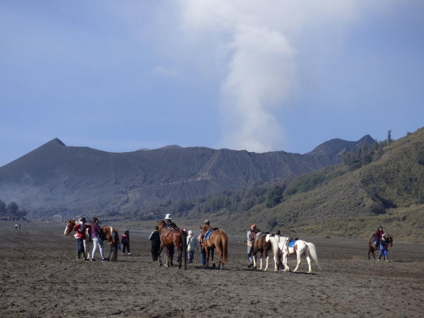 Zdjęcie z Indonezji - Wyspa Jawa - w drodze na wulkan Bromo