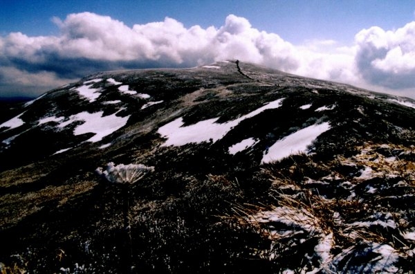 Zdjecie - Polska - Bieszczady