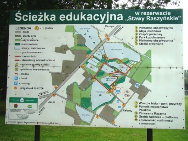 Zdjęcie z Polski - 