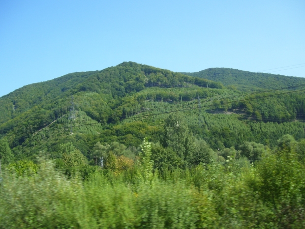 Zdjęcie z Grecji - Halkidiki