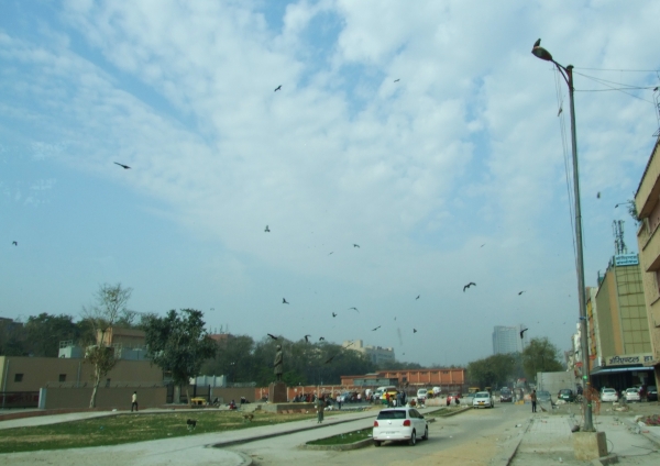Zdjęcie z Indii - New Delhi