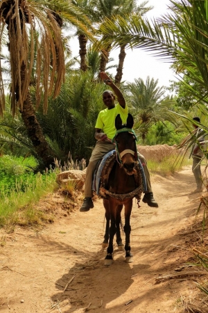 Zdjęcie z Maroka - mieszkańcy oazy