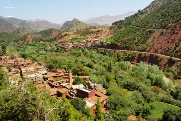 Zdjęcie z Maroka - ostatnie piękne pejzaże przed Marrakeshem