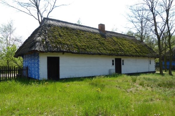 Zdjęcie z Polski - od północy strzechę zajada mech 