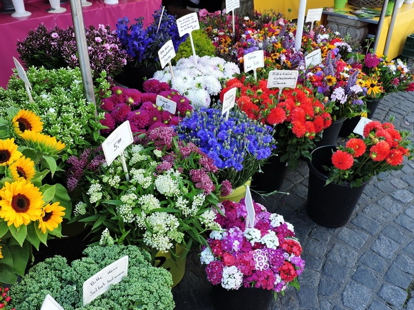 Zdjęcie z Niemiec - Monachium - Viktualienmarket