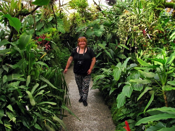 Zdjęcie z Niemiec - Monachium - ogród botaniczny