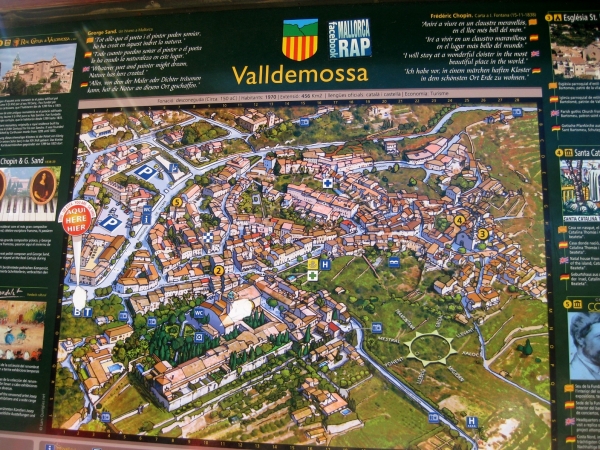 Zdjęcie z Hiszpanii - Valdemosa