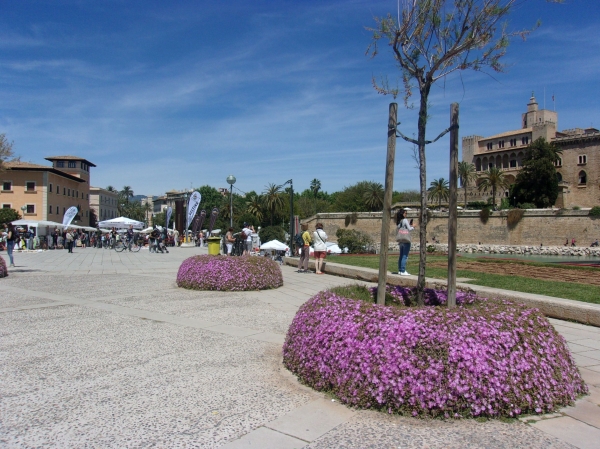 Zdjęcie z Hiszpanii - Palma de Mallorca