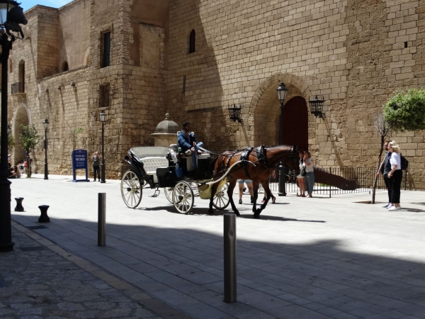 Zdjęcie z Hiszpanii - Palma de Mallorca