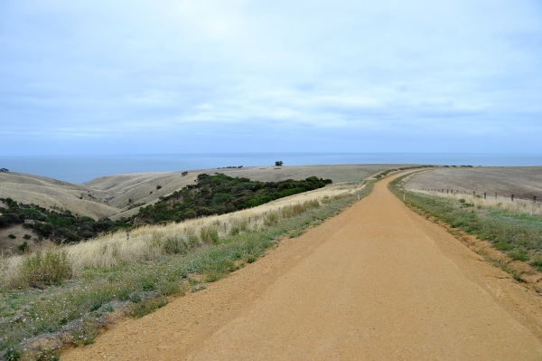 Zdjęcie z Australii - Droga do Myponga Beach