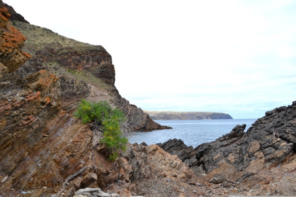 Zdjęcie z Australii - Zatoka Second Valley