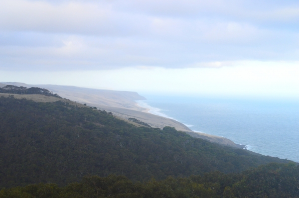 Zdjęcie z Australii - Polwysep Fleurieu