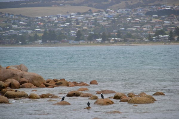 Zdjęcie z Australii - Victor Harbor