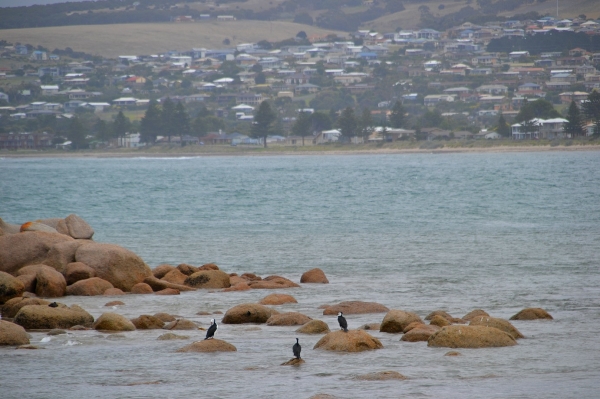 Zdjęcie z Australii - Victor Harbor