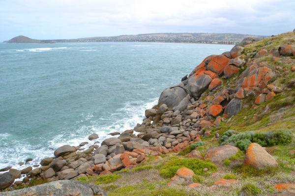 Zdjecie - Australia - Półwysep Fleurieu - Granitowa Wyspa