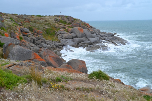 Zdjęcie z Australii - Granitowa Wyspa kolo Victor Harbor