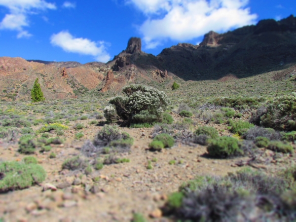 Zdjęcie z Hiszpanii - P.N. Teide