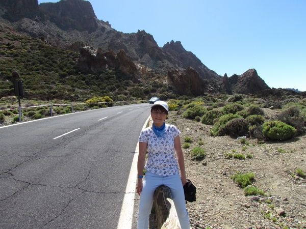 Zdjęcie z Hiszpanii - P.N. Teide