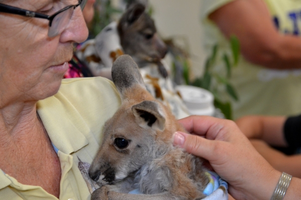 Zdjęcie z Australii - Wolontariuszki z Meadows