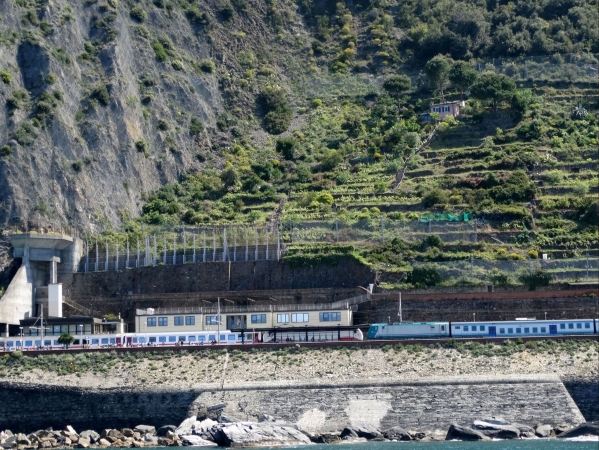 Zdjęcie z Włoch - Manarola