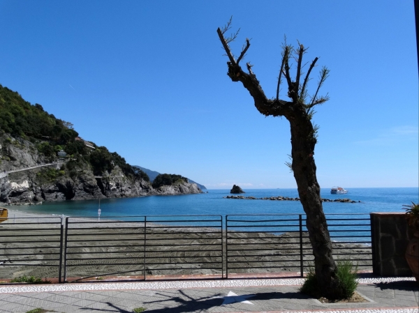 Zdjęcie z Włoch - Monterosso