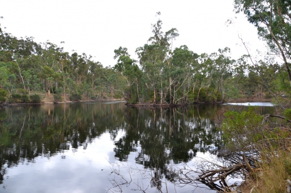 Zdjęcie z Australii - Jeziorko Playford Lake w Belair NP