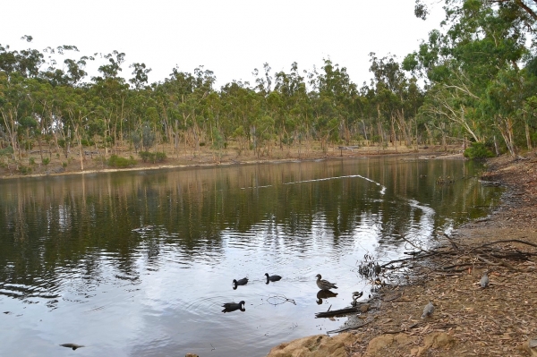 Zdjęcie z Australii - Jeziorko Playford Lake