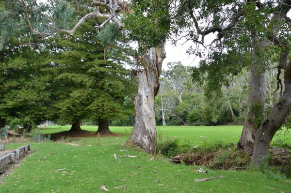 Zdjęcie z Australii - Park Narodowy Belair