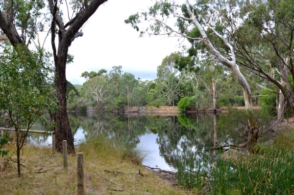 Zdjęcie z Australii - Jeziorko Playford Lake