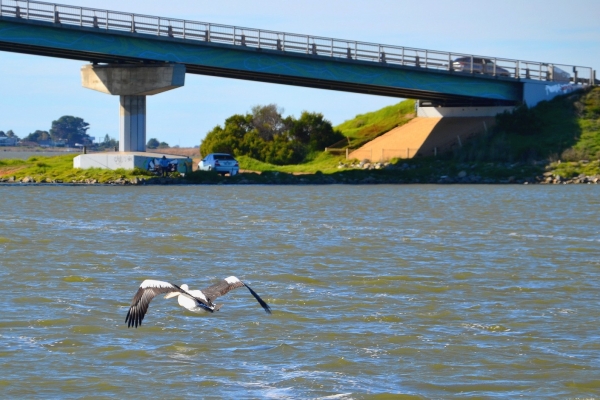 Zdjęcie z Australii - Goolwa