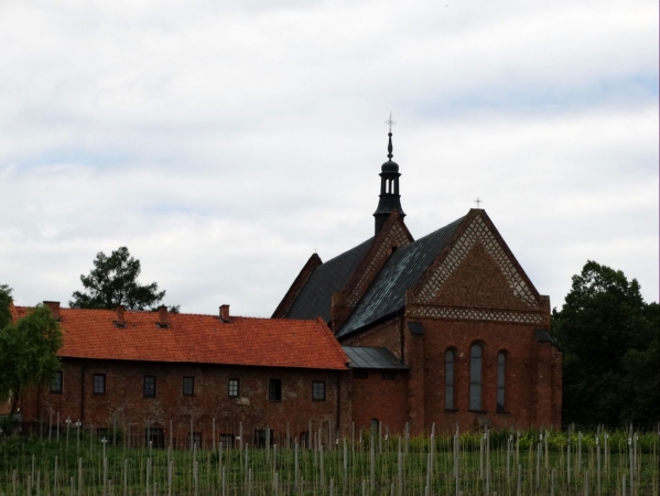 Zdjęcie z Polski - Sandomierz