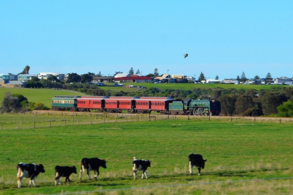 Zdjęcie z Australii - Zabytkowy pociag kursujacy w weekeny