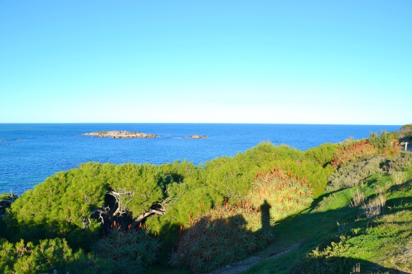 Zdjęcie z Australii - Port Elliot
